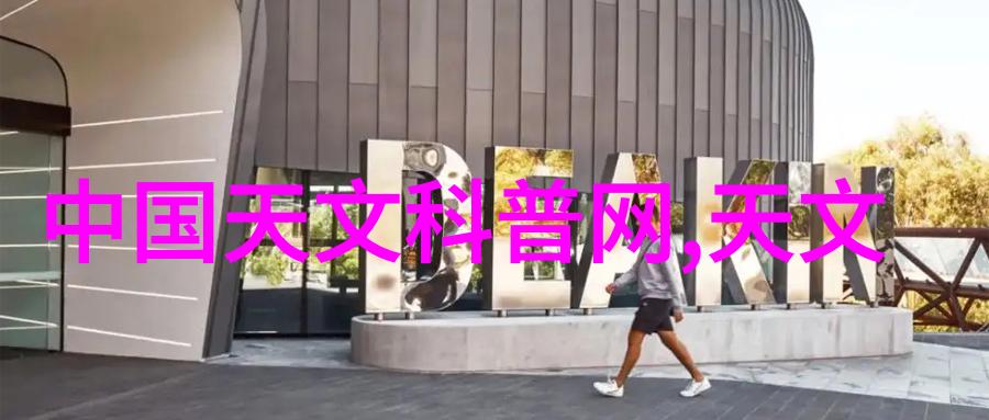 环形填料的规整性探究鲍尔环的例证分析