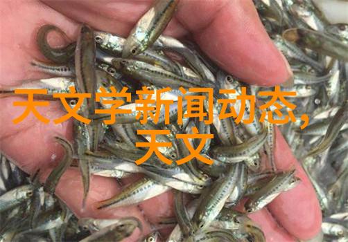 如何规划理想的开放式厨房空间