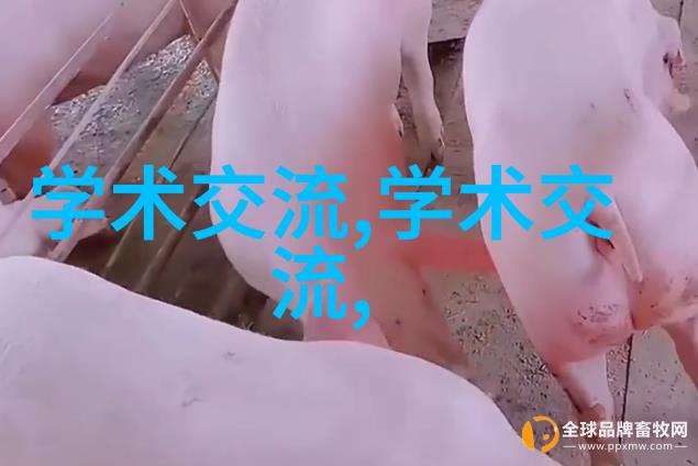 黑帮世界的秘密守护者与大佬的日子