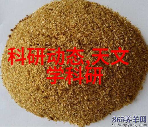 不锈钢陶瓷填料-超硬耐磨的工艺创新 不锈钢陶瓷填料在机械加工中的应用与优势