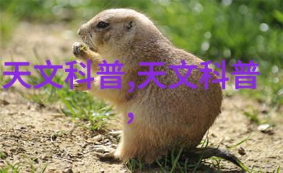 人工湿地火山岩填料我的绿色家园建设新篇章