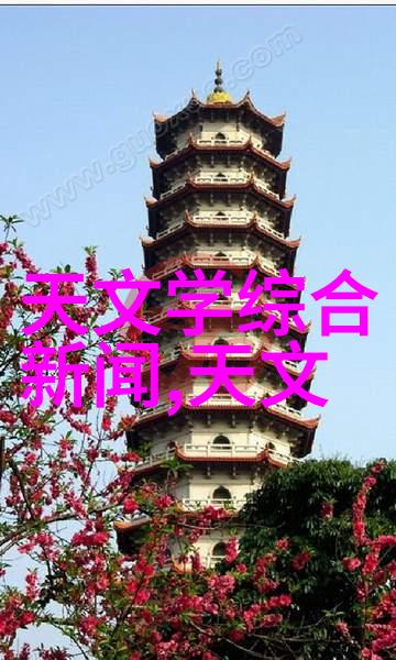 案由探究揭秘背后的故事与真相