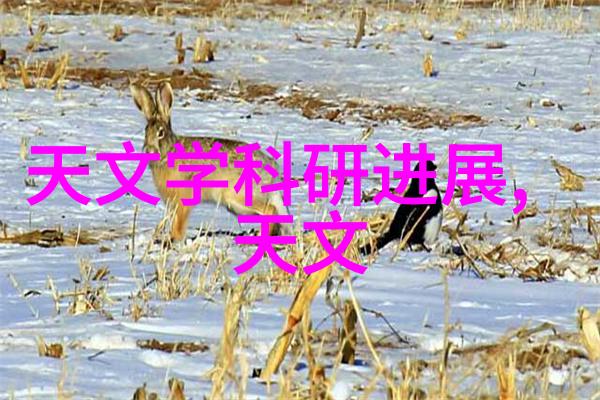 小型蒸汽发生器的安全操作规程解析