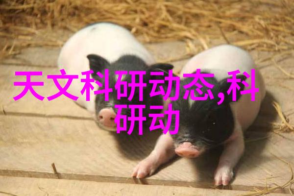 欧式厨房装修效果图我的美食梦想空间