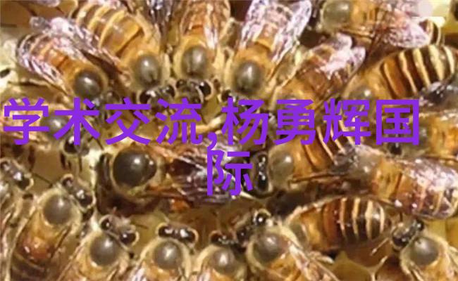 微波真空干燥设备-探索微波与真空技术的完美结合
