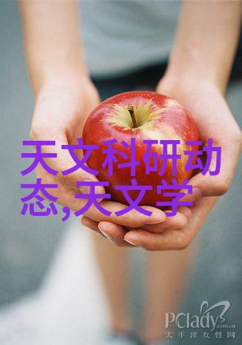 最新研究进展解密人脑记忆形成机制的新视角