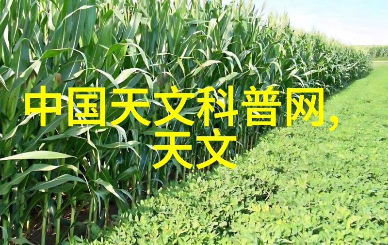银幕新篇章全球最大电影节揭晓年度最佳作品