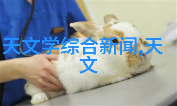 蜜桃成熟33d演员表甜蜜的荔枝湖畔遇见明星