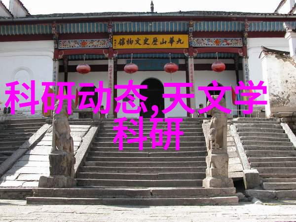 不锈钢丝网 填料我是怎么用它来美化我的阳台的