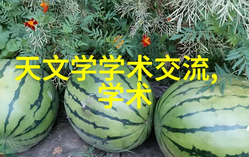 九江职业技术学院我的技能之路