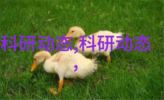 深入剖析爱情中的预防策略当你应该为自己的安全而做出的决定