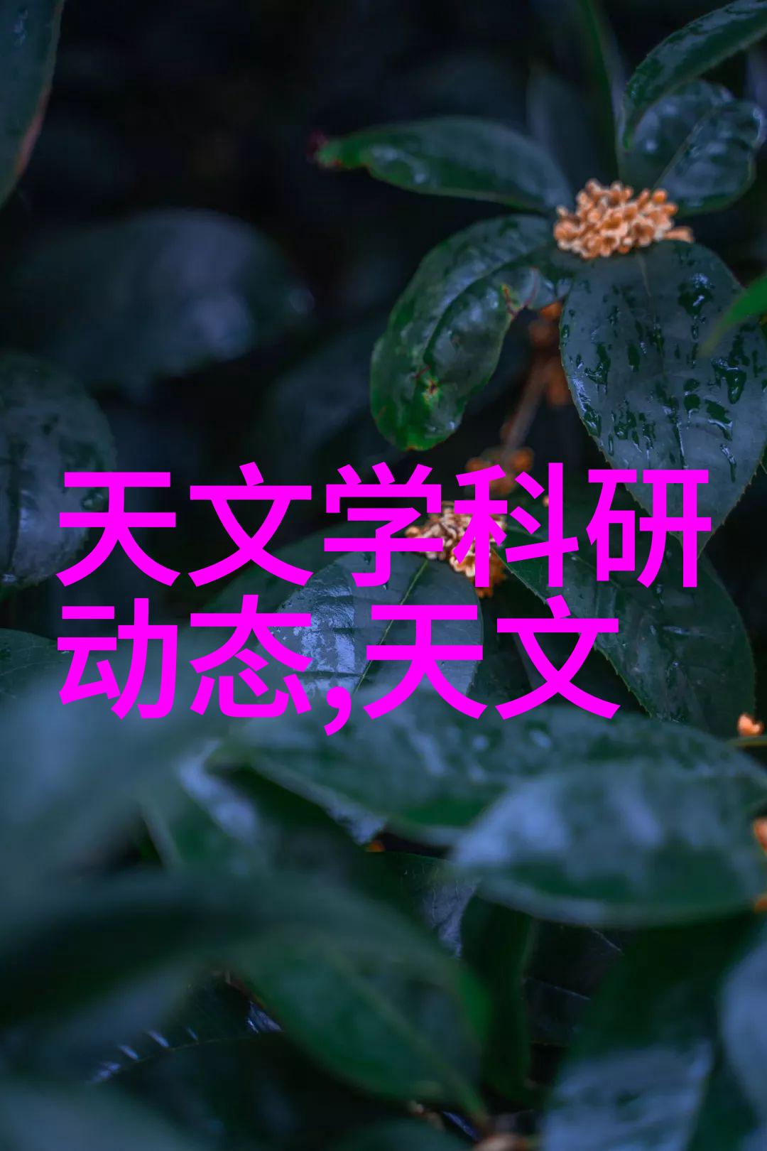芯片之谜微观世界的璀璨星辰