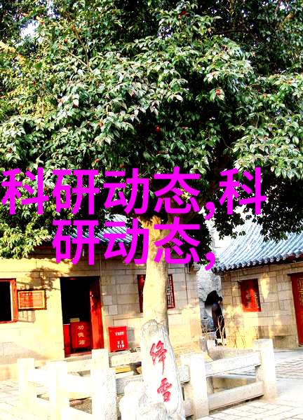 中国知识产权网站官网的注册流程是怎样的