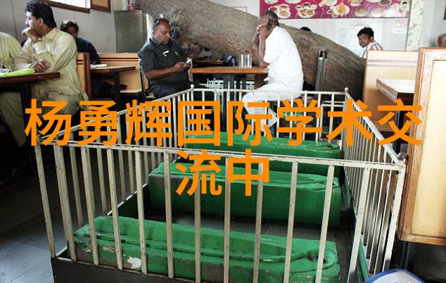 来尝一尝车厘崽PO18-品味非凡探索PO18车厘崽的独特风味