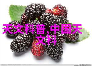 30平米一居室装修我是如何在小空间里打造出舒适家园的
