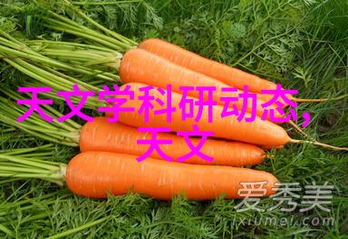 蒸汽发生器原理-水的加热与蒸汽化过程解析