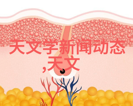 pvc管与ppr管的区别-PVC管与PPR管材料特性和应用领域的对比分析
