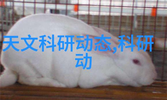 浴室梦工厂探索卫生间装修效果图的创意与实用之美