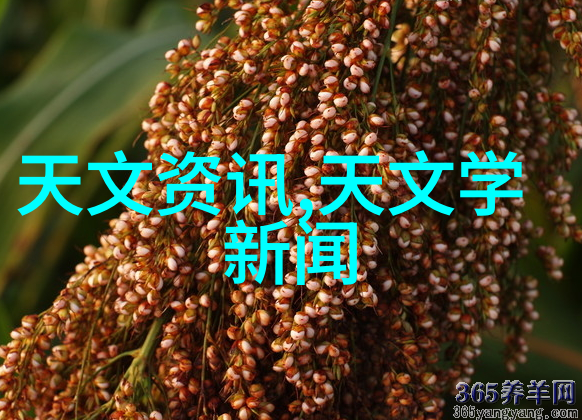 中欧式客厅装修效果图权威指南避开常见陷阱创造完美空间