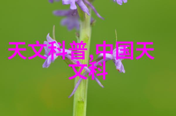 粉碎机械设备-高效破碎技术重塑材料处理的未来