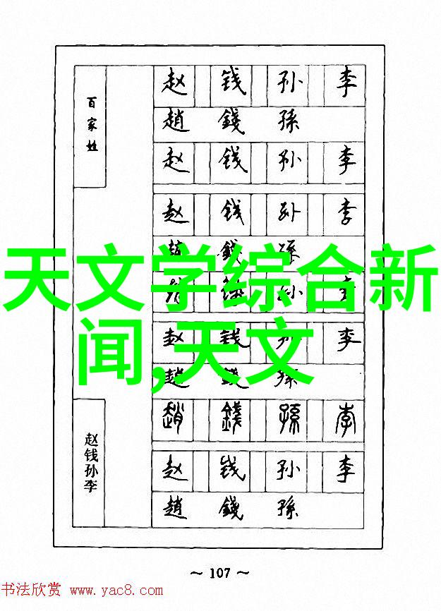 禁芯之谜美国背后的隐秘策略