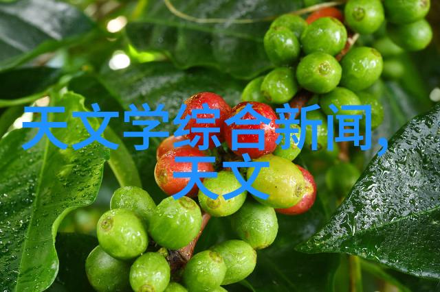 希区柯克的水下摄影秘籍如何在深海拍出惊魂般的人像照片