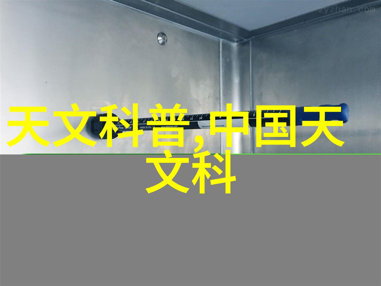 深藏于心的思念情感之根在骨中筑巢