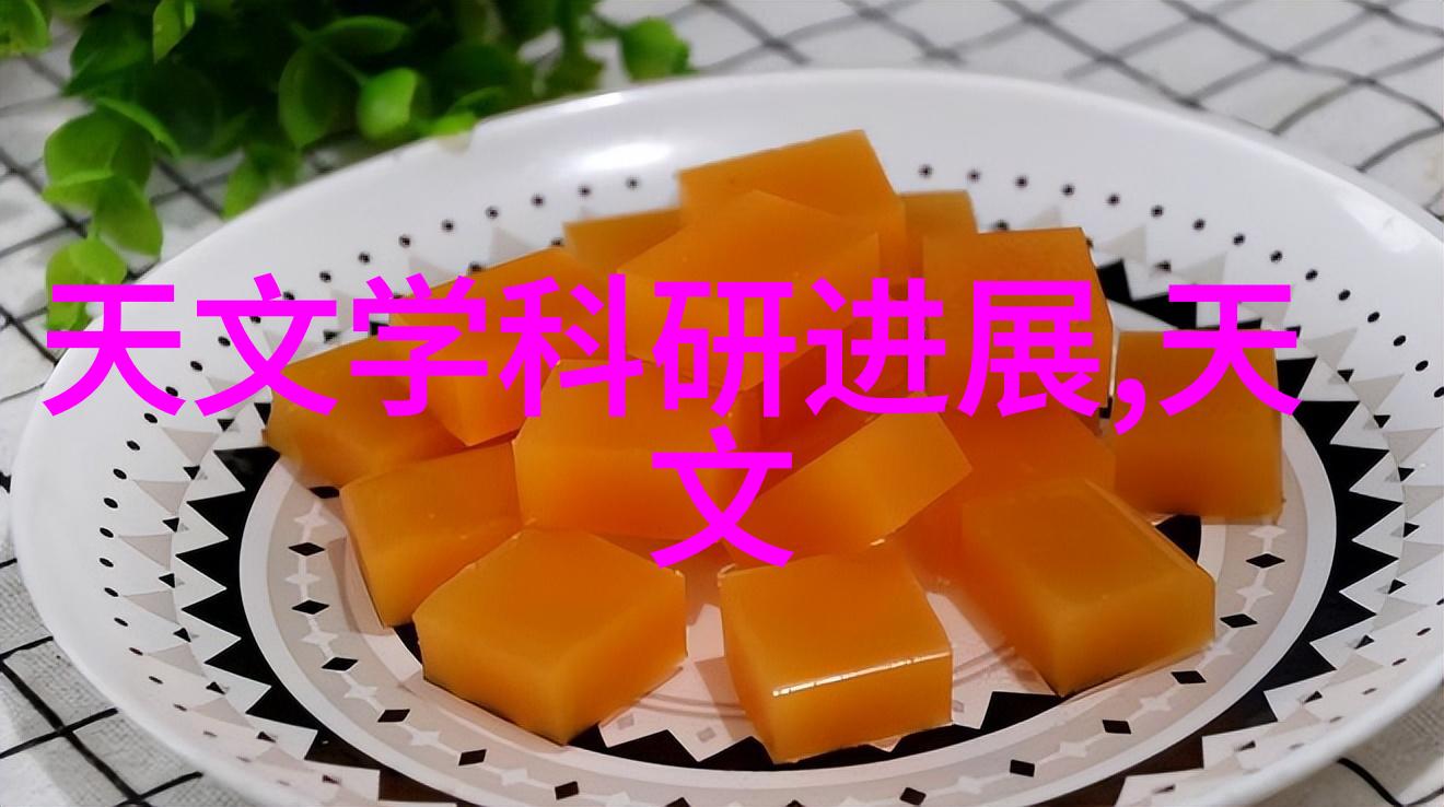 镜头背后的秘密专业拍摄师的技巧与艺术探究