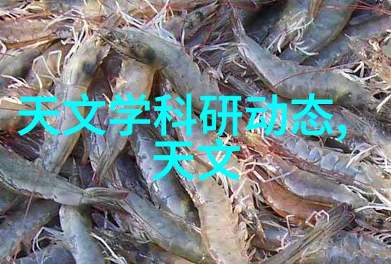 新施公奇案 范明古色古香的谜团与侦探范明的智慧追踪