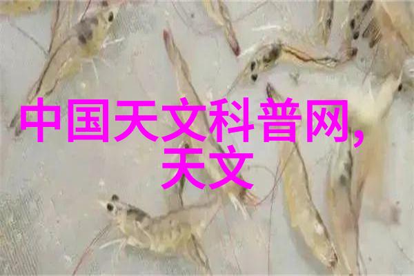 自动化程度对丸剂质量影响的探究