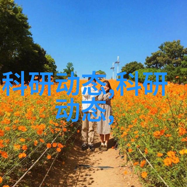 样板房设计装修全解析从创意构思到实用美化的完美结合