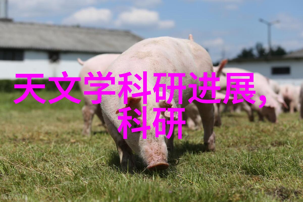 用户在使用过程中最常见的问题是什么以及这些问题如何解决