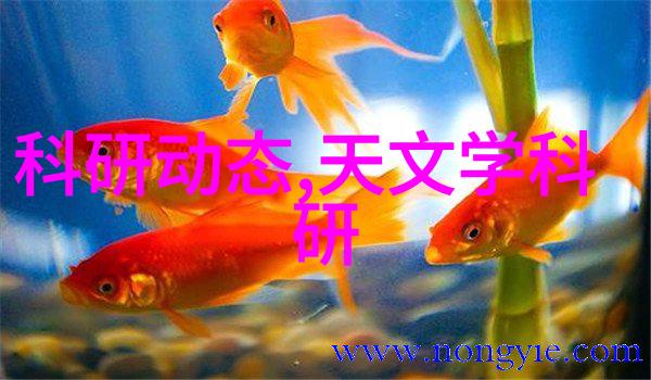 离心之谜旋转的迷雾与机器的心脏