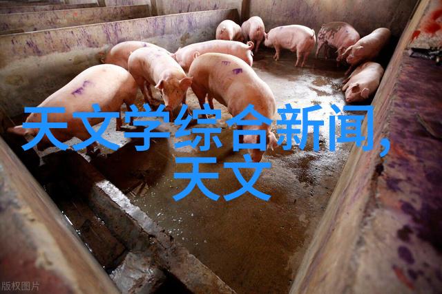 塑料管的环保替代品绿色循环使用的创新解决方案