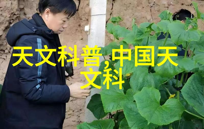 厨房装修效果图大全家居美学厨房设计装修风格