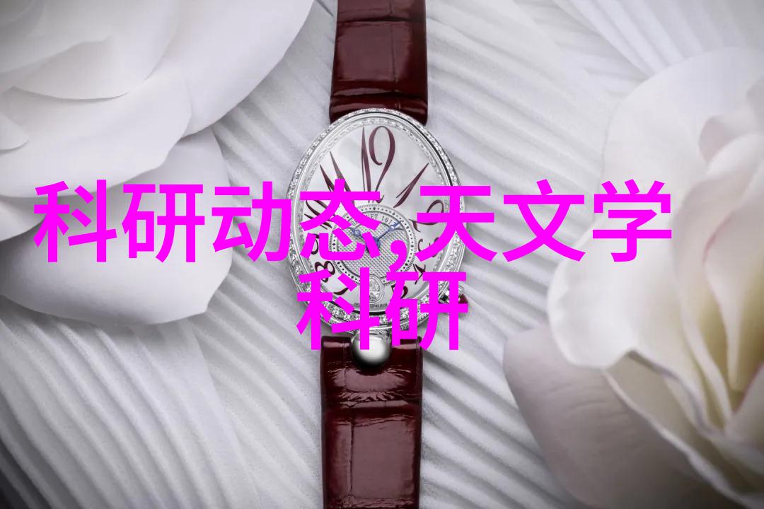 YSI多参数水质检测仪的全面解析与应用
