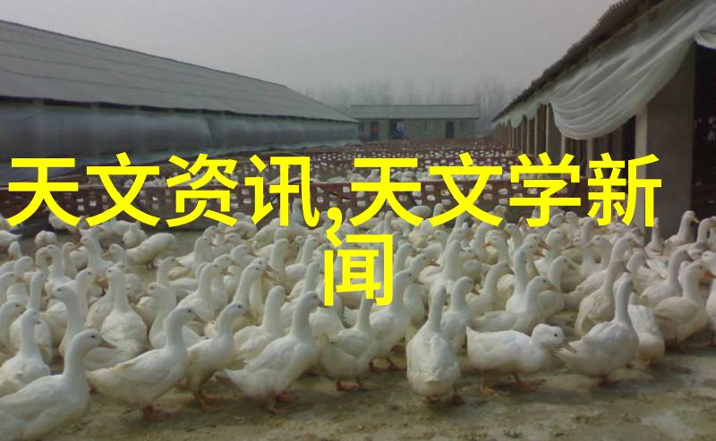 水利水电工程师职称卫生间防水施工步骤解析