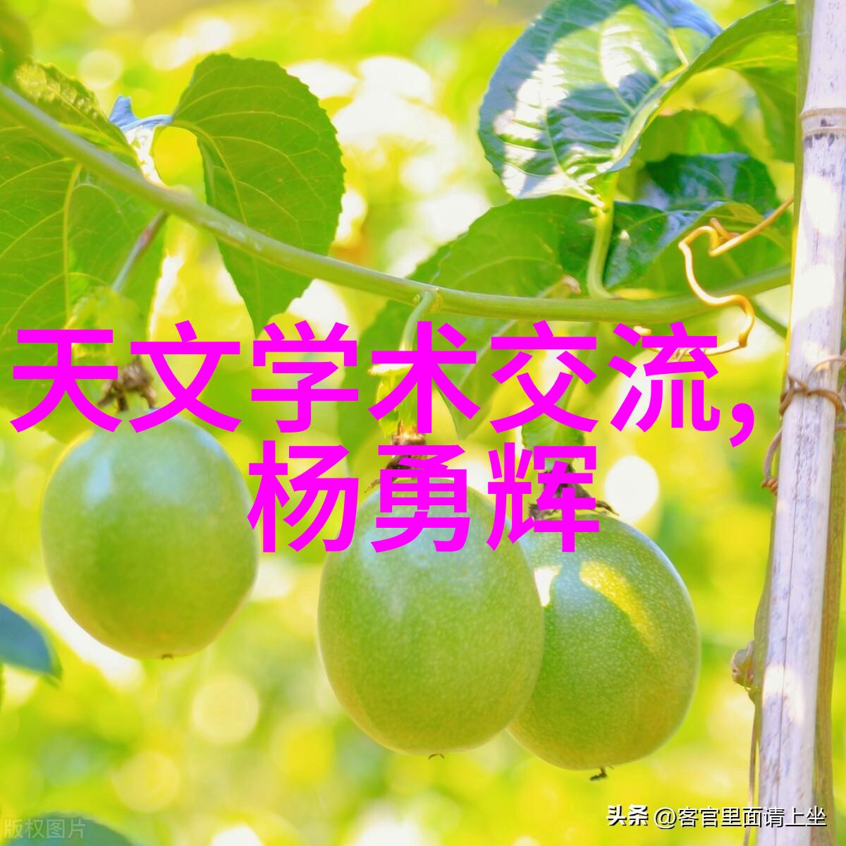 不锈钢丝网填料在现代建筑材料中的应用研究与展望