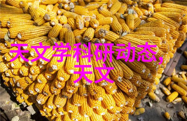 家居美学二楼客厅的温馨与时尚