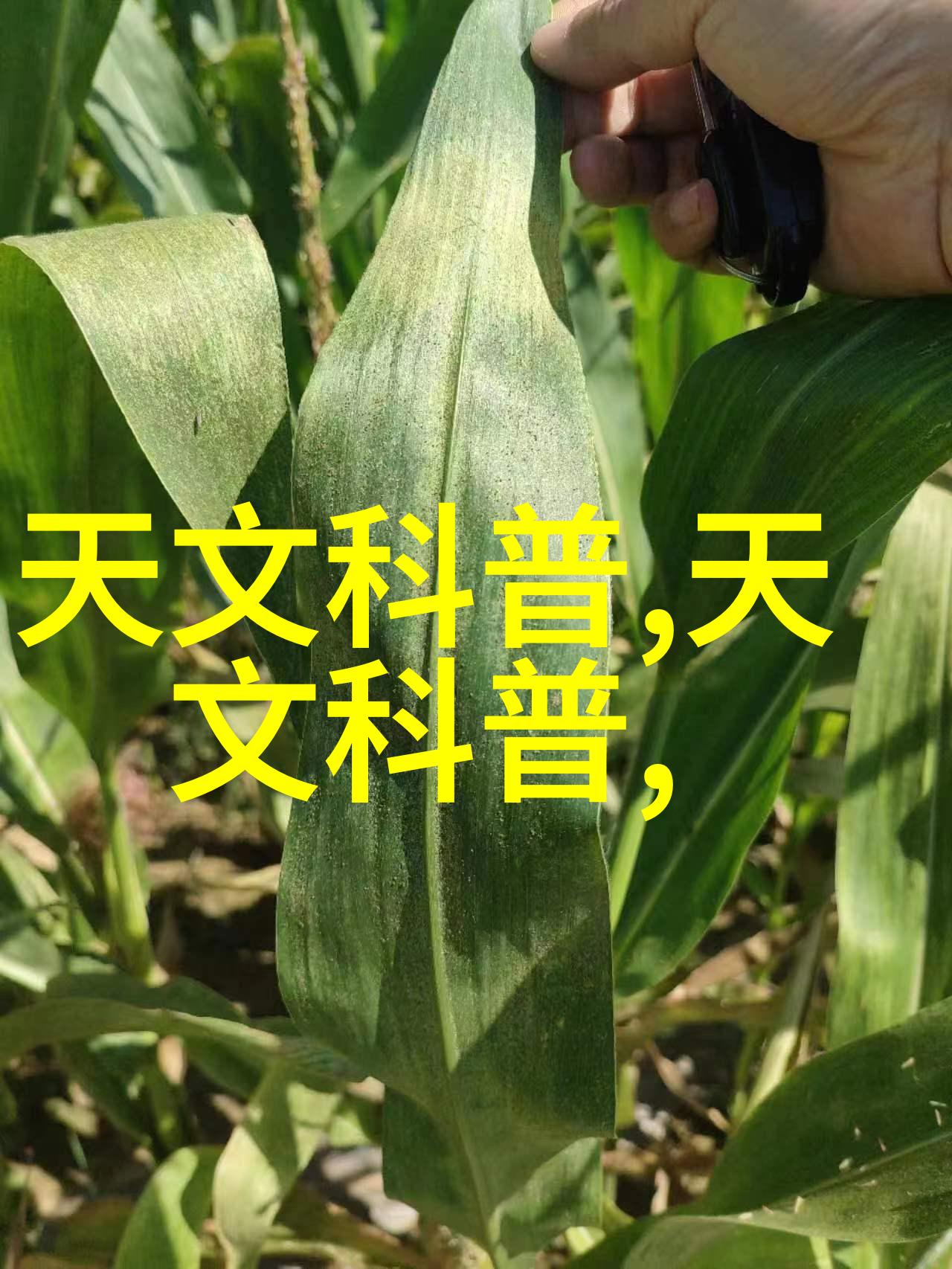 实验室电渗析设备高效科学分析仪器