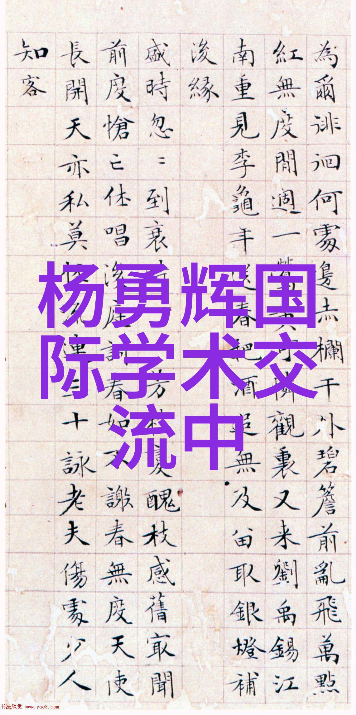 化工片剂机械高效化工片剂生产机械