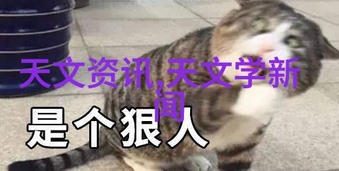 江岸有枝沿着江边的绿意盎然树木