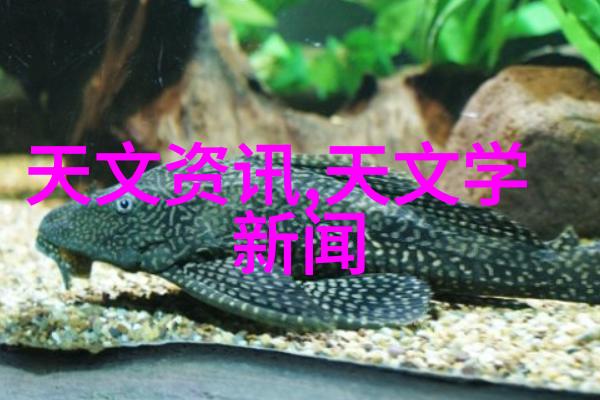逆市透净深度解析反渗透净水设备技术与应用
