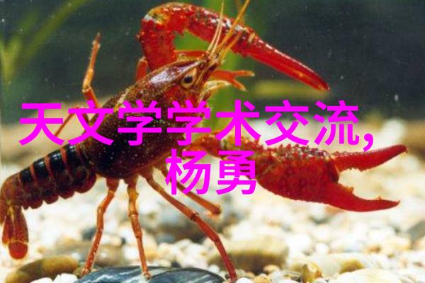 如何将简约风格客厅装修效果图中的几何图案与自然元素完美融合