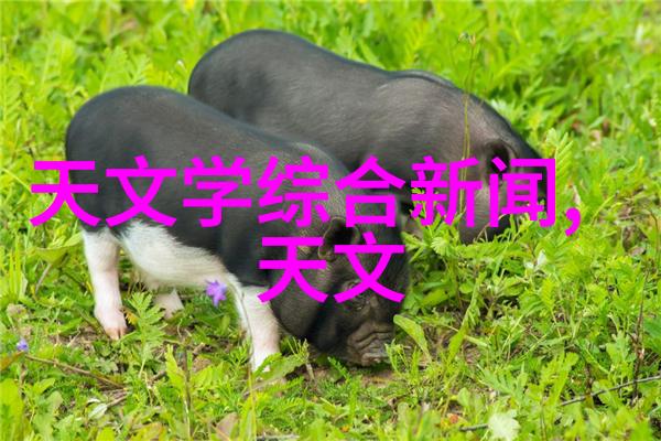 水电承包一平方米的金钱故事