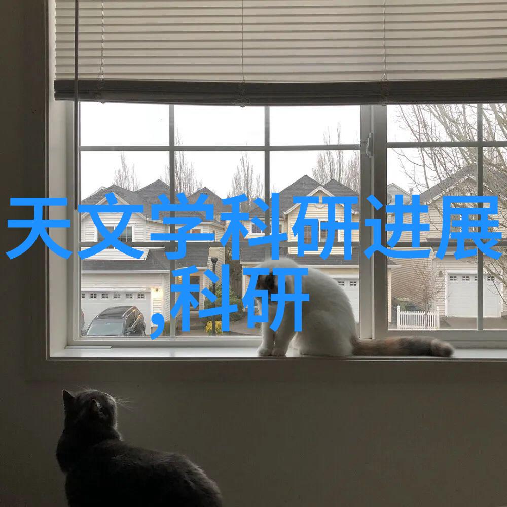 防水技艺与水利工程梦想对水之防御与未来就业的双重探索
