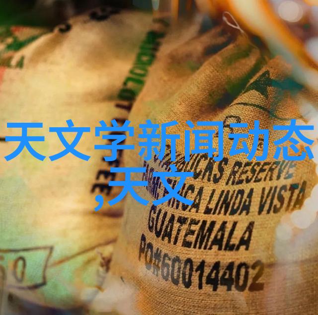 申请资金支持的提案概述