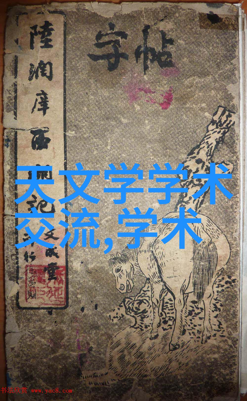 新疆留学人员联谊会学术论坛之七在天文站召开