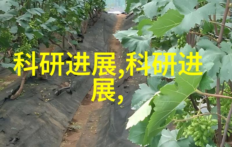 华为新旗舰麒麟9010芯片高性能智能手机处理器