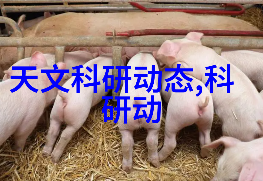 客厅装修ktv咱们的家变成了最棒的小型KTV